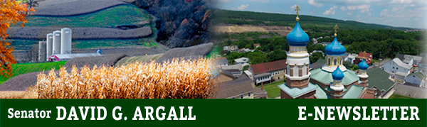 Senator Argall E-Newsletter